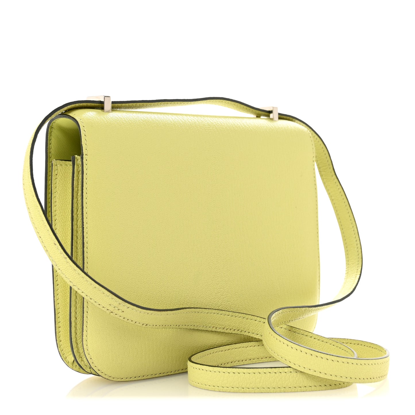 Chevre Mysore Constance 18 Jaune Bourgeon