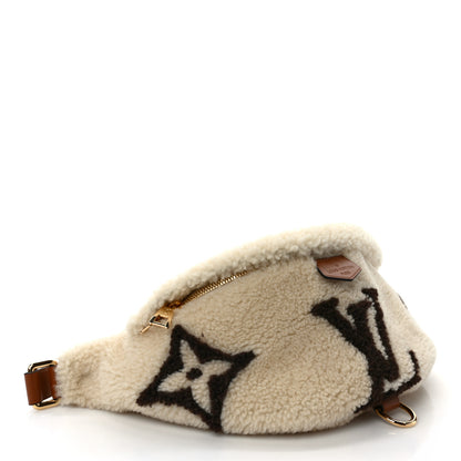 Louis Vuitton Shearling Monogram LV Ski Bumbag Cream Brown 4 of 9