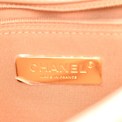 Chanel Shiny Lambskin Quilted Medium Chanel 19 Flap Beige 6 of 10
