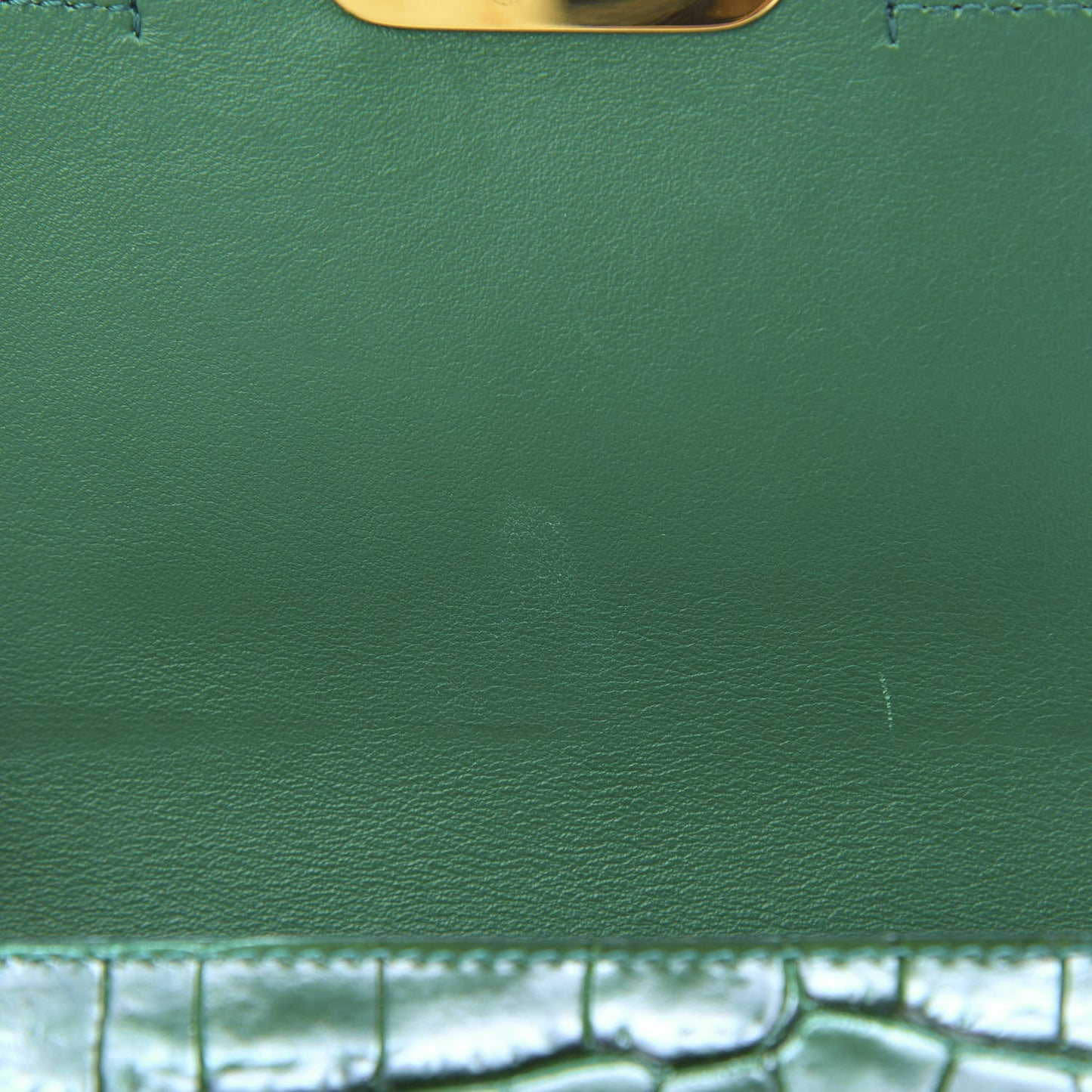 Calfskin Crocodile Embossed Mini C Double Carry Woodsy Green