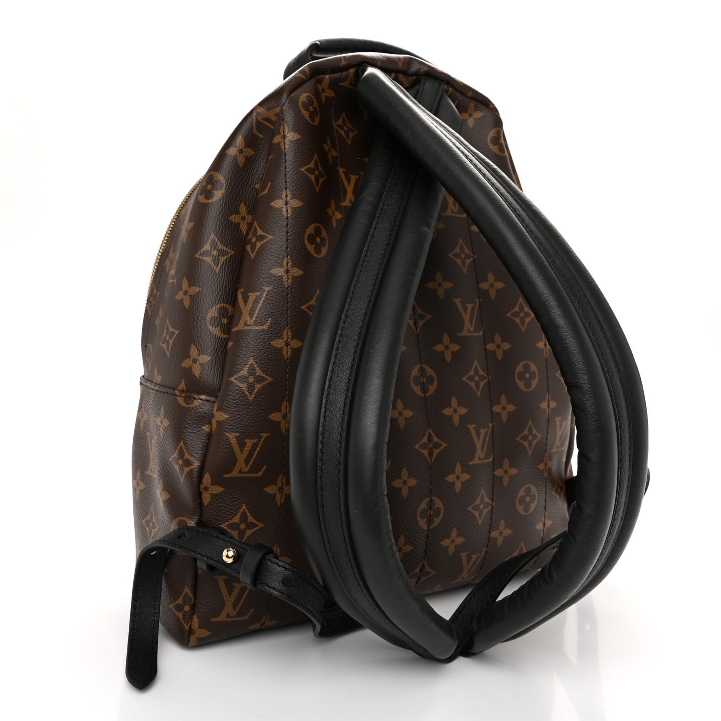 Monogram Palm Springs Backpack MM