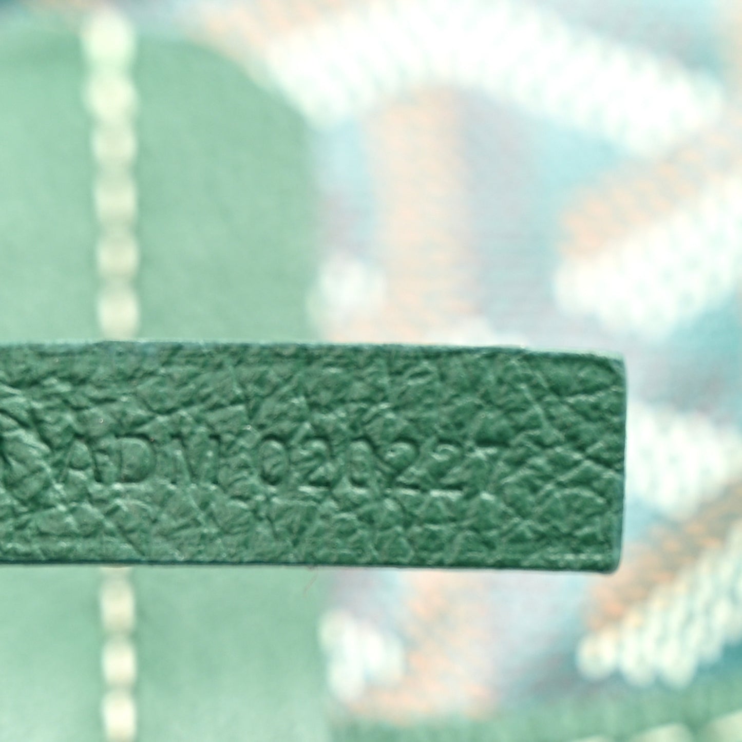 Goyardine Saint Louis PM Green