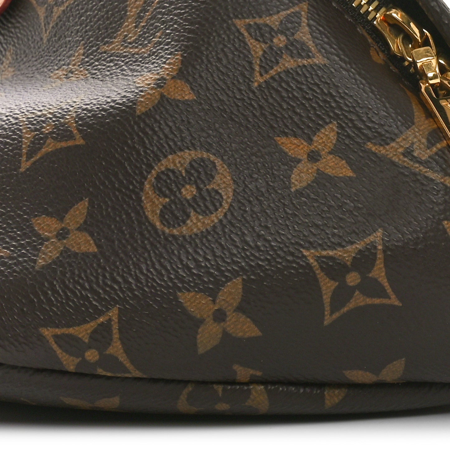 Monogram Bumbag