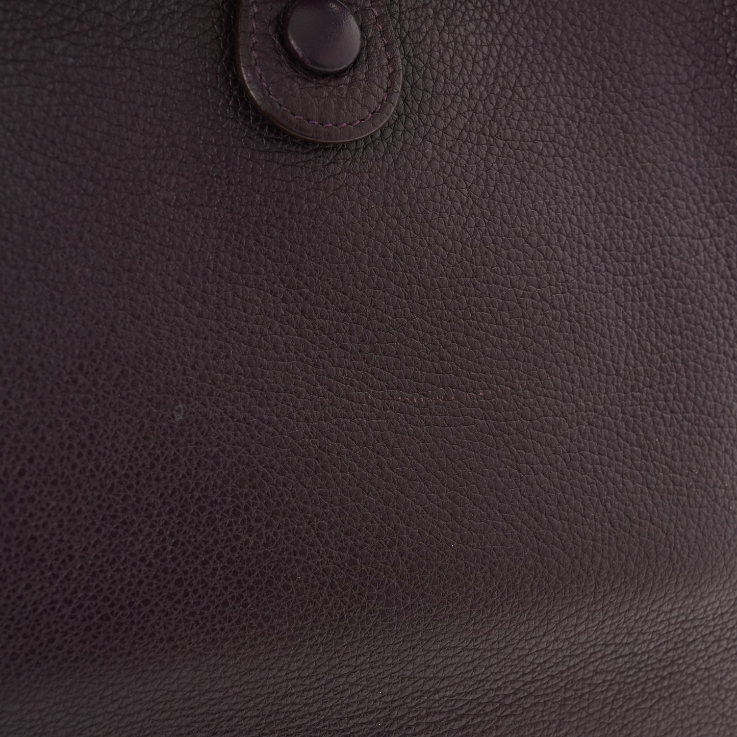 Taurillon Clemence Evelyne PM Raisin