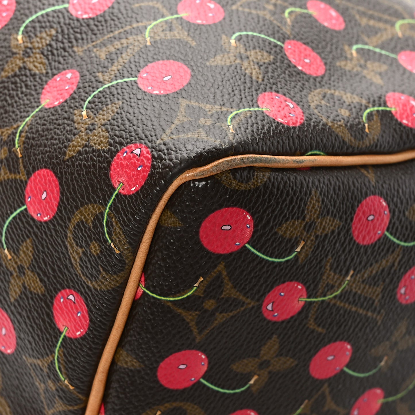 Monogram Cerises Speedy 25