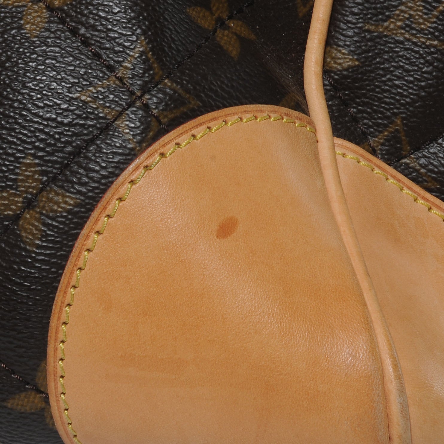 Louis Vuitton Monogram Etoile Shopper 4 of 8
