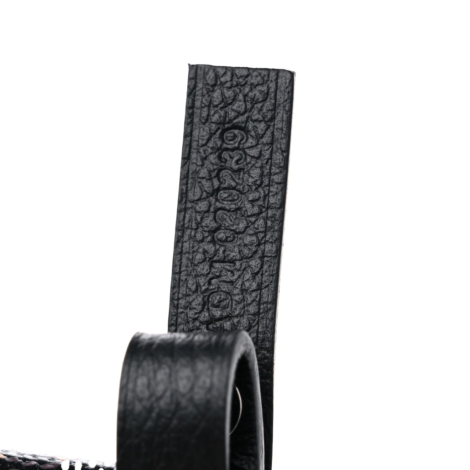 Goyard Goyardine Saint Louis PM Black 8 of 10