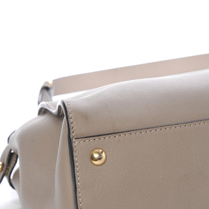Fendi Vitello Seta Plexiglass Tortoise Medium Peekaboo Iconic Satchel Tortora 12 of 15