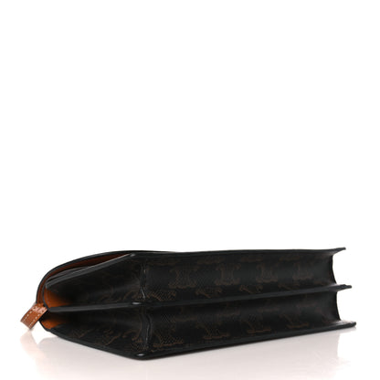 Celine Triomphe Canvas Lambskin Wallet On Strap Tan 4 of 11