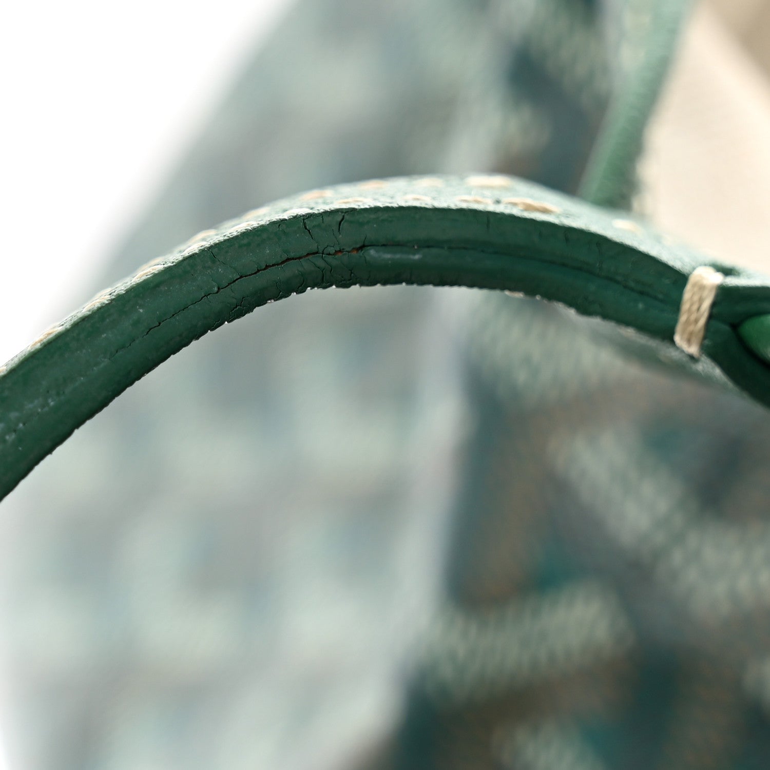 Goyard Goyardine Saint Louis GM Green 12 of 12