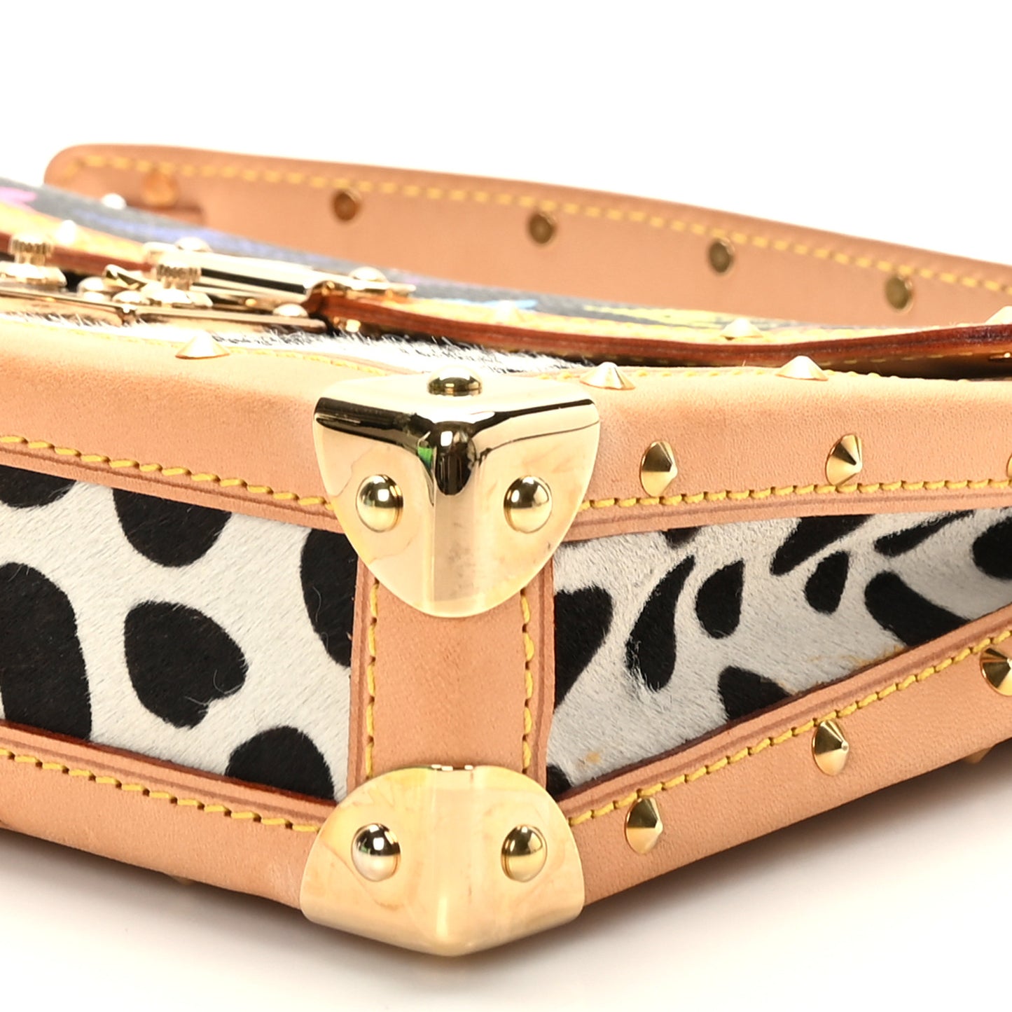 Monogram Multicolor Dalmatian Pochette