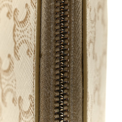 Celine Canvas Calfskin Ava Triomphe Shoulder Bag White 12 of 12