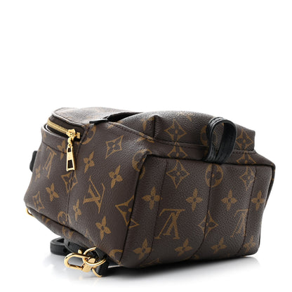 Louis Vuitton Monogram Palm Springs Backpack Mini 4 of 9