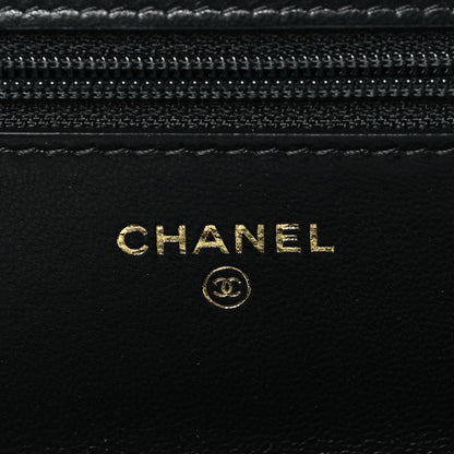 Chanel Lambskin Quilted Chanel 19 Wallet On Chain WOC Black 6 of 10