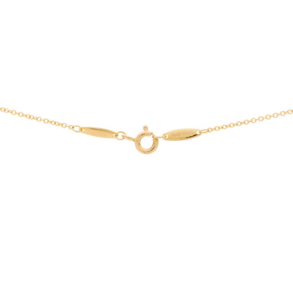 Tiffany 18K Yellow Gold Ruby Elsa Peretti Color By The Yard Pendant Necklace 4 of 5