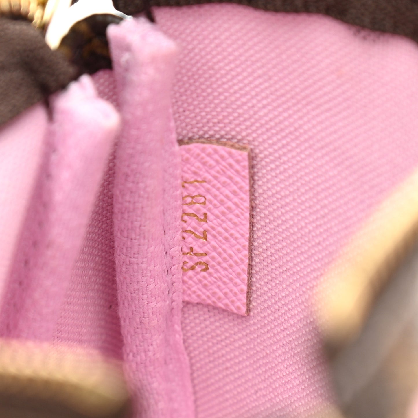 Monogram 2021 Christmas Animation Japanese Garden Mini Pochette Accessories Wisteria Pink