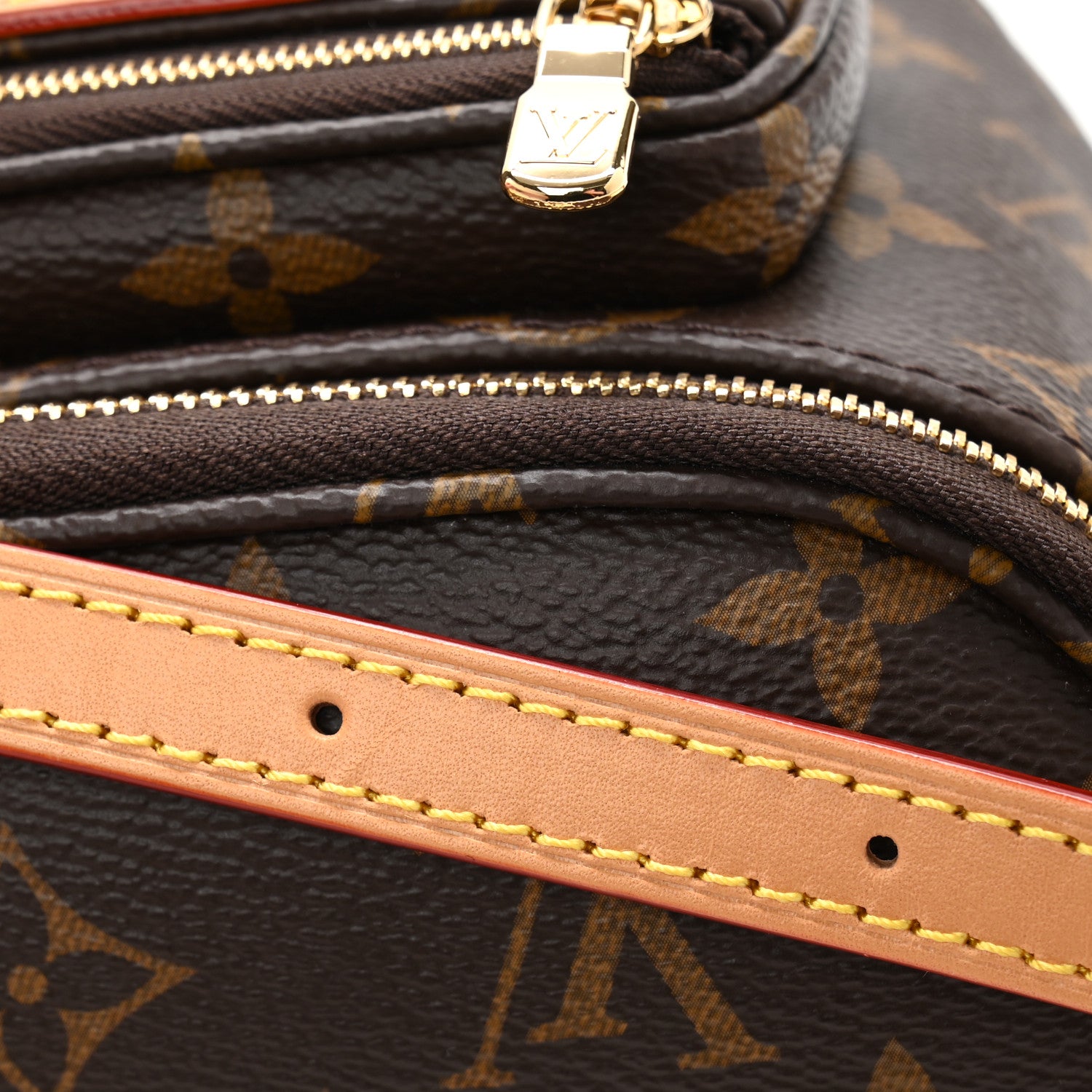 Louis Vuitton Monogram Mini Bumbag 11 of 11