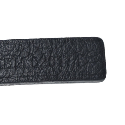 Goyard Goyardine Saint Louis PM Grey 8 of 12