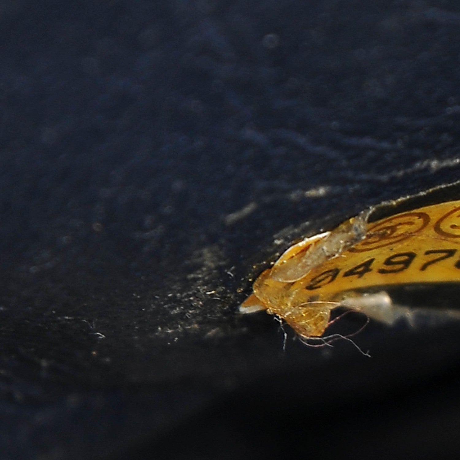 Chanel Caviar Quilted Jumbo Single Flap Black 7 of 11