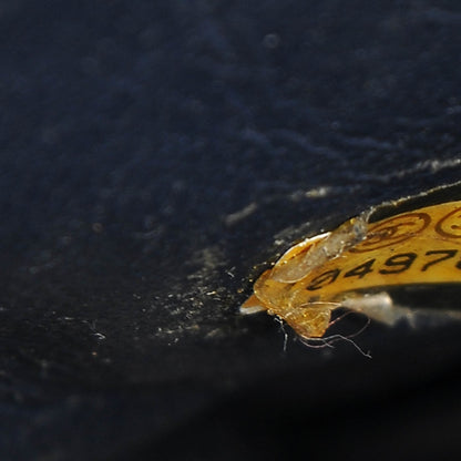 Chanel Caviar Quilted Jumbo Single Flap Black 7 of 11