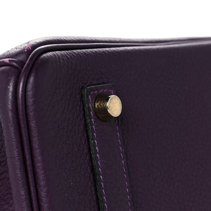 Hermes Togo Birkin 35 Raisin 12 of 13