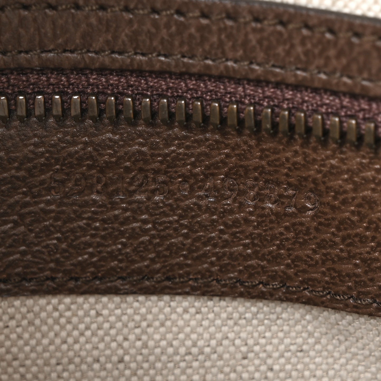 GG Supreme Monogram Web Small Ophidia Half Moon Hobo Brown