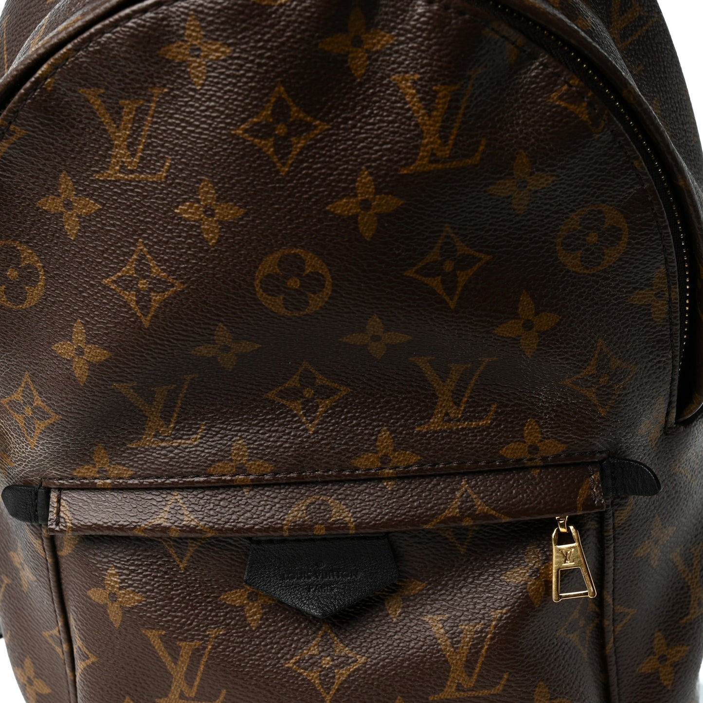 Monogram Palm Springs Backpack PM