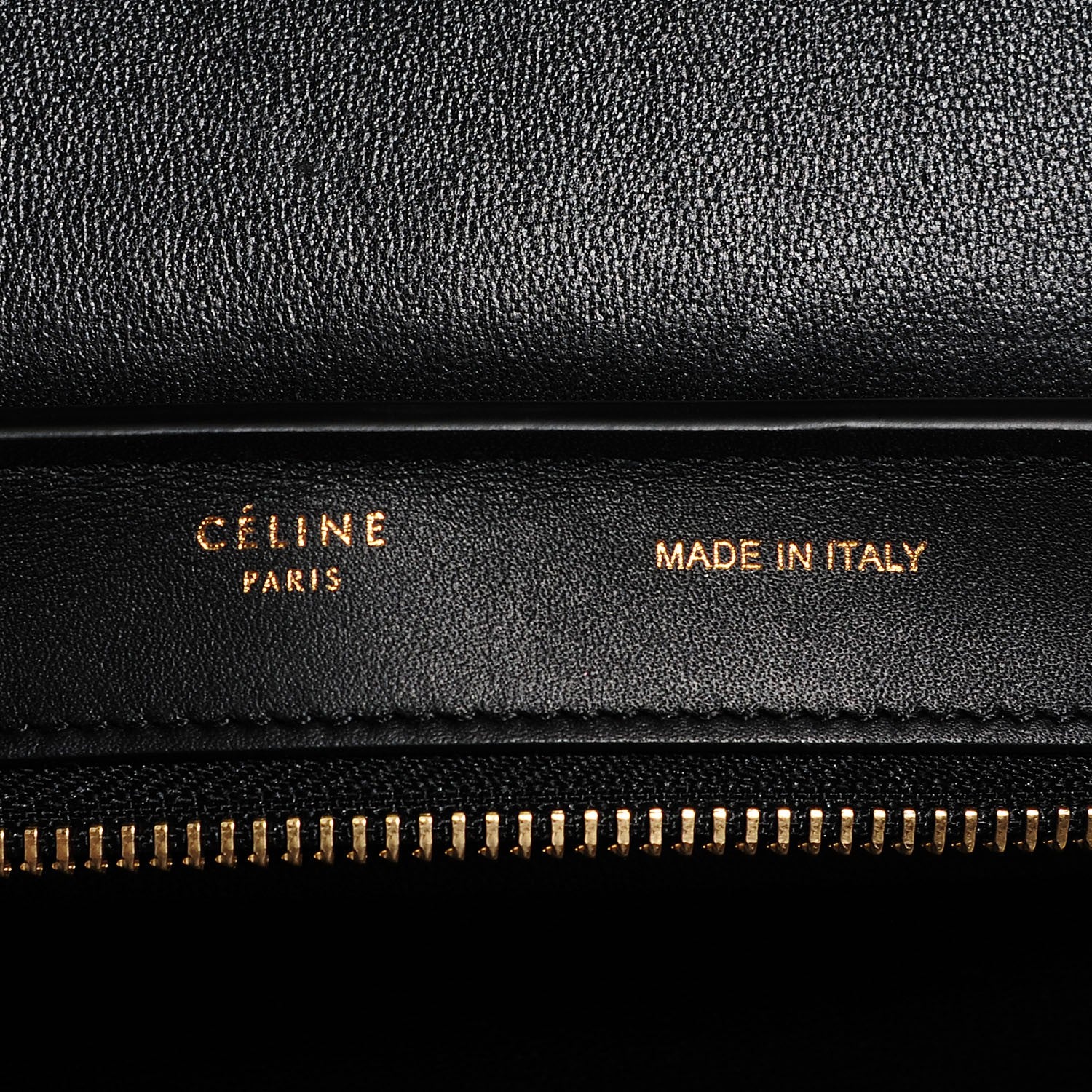 Celine Tiger Snake Smooth Calfskin Small Trapeze Palm 15 of 16