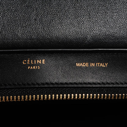 Celine Tiger Snake Smooth Calfskin Small Trapeze Palm 15 of 16