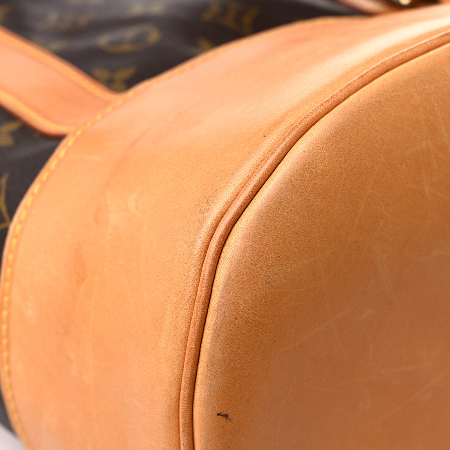 Monogram Randonnee GM Backpack