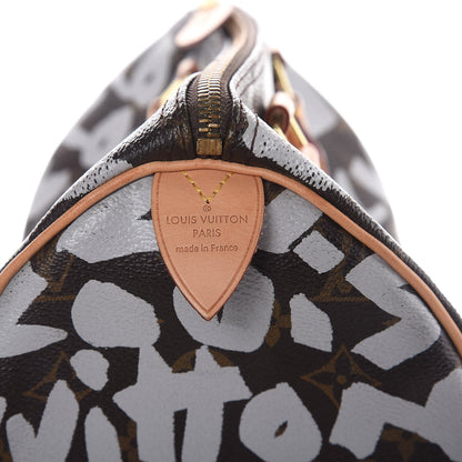 Louis Vuitton Monogram Graffiti Speedy 30 Silver 6 of 19