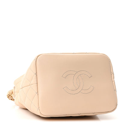 Chanel Lambskin Quilted Small Hobo Beige 4 of 10