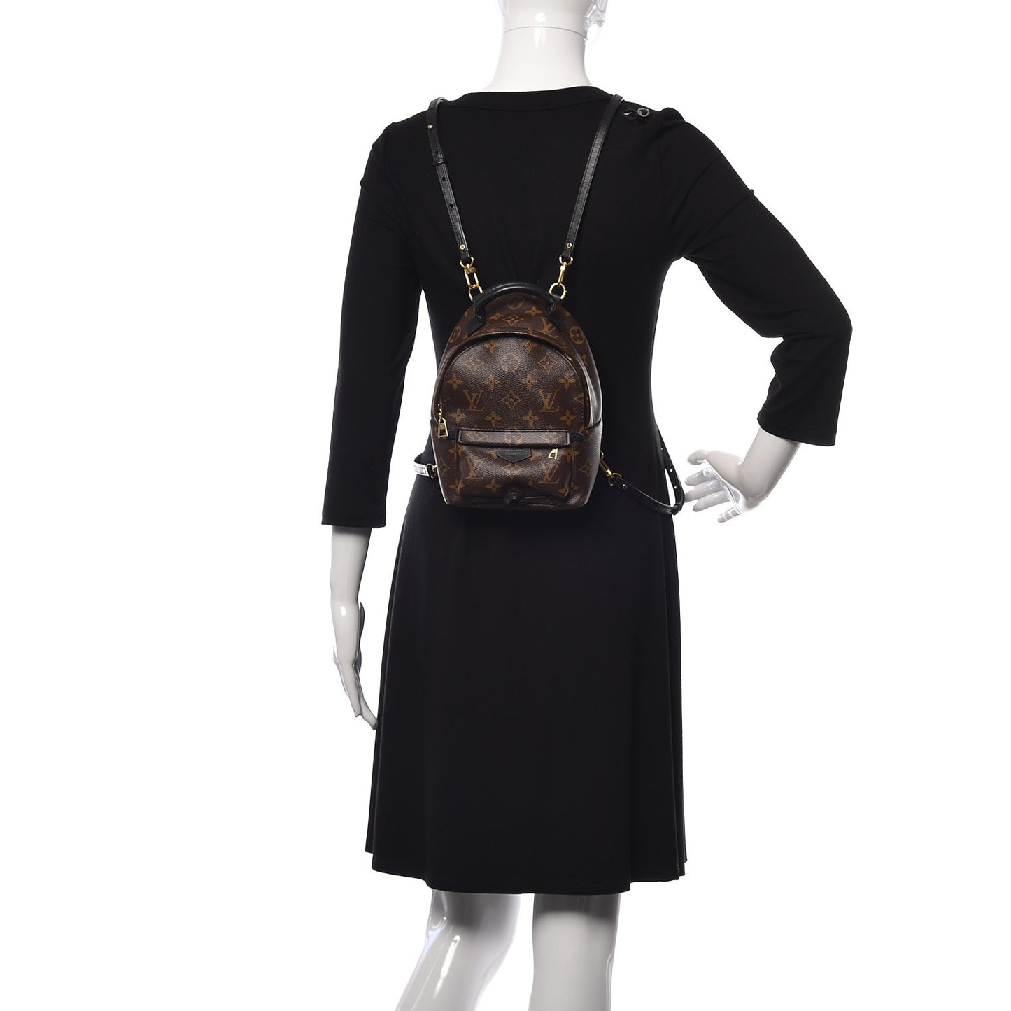 Monogram Palm Springs Backpack Mini