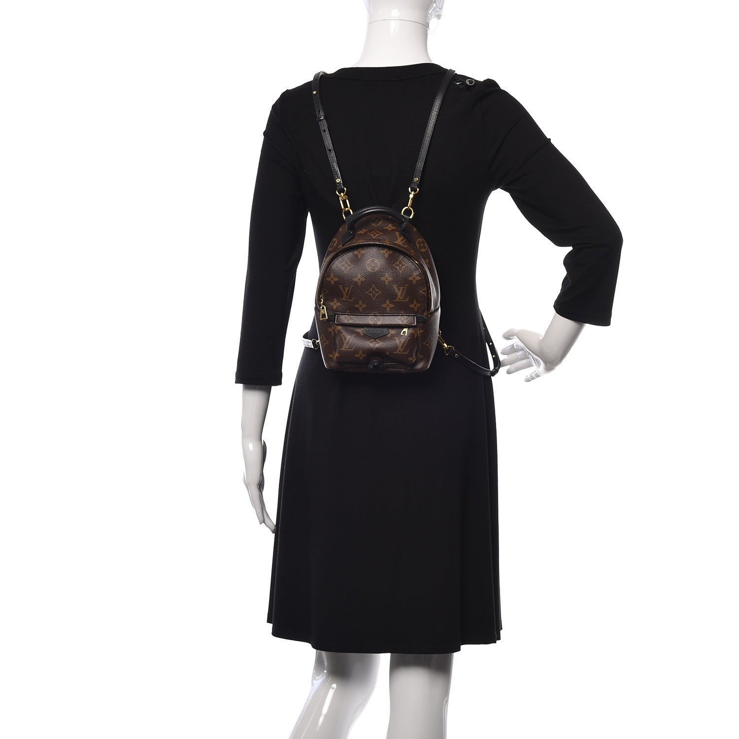Louis Vuitton Monogram Palm Springs Backpack Mini 2 of 10