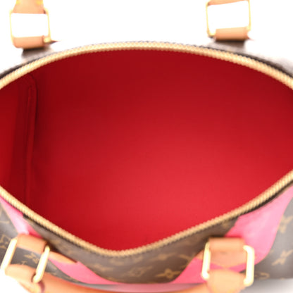 Louis Vuitton Monogram Speedy 30 V Grenade 5 of 10