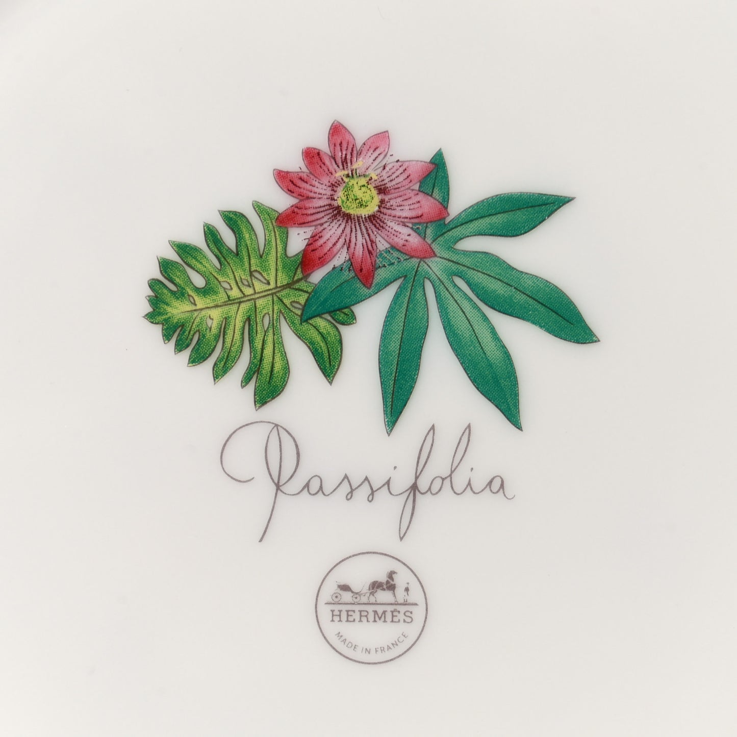 Porcelain Passifolia Dessert Plate N°2 Set of 2