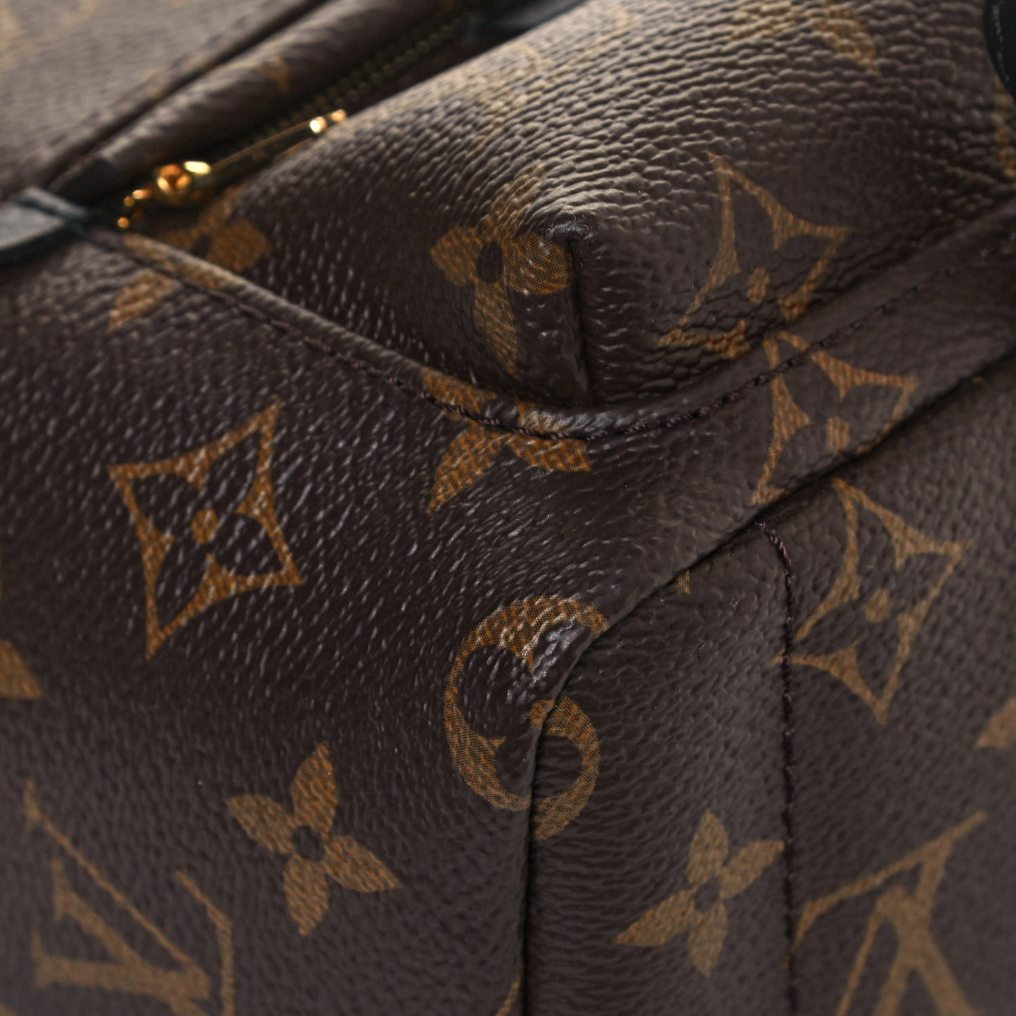 Monogram Palm Springs Backpack Mini