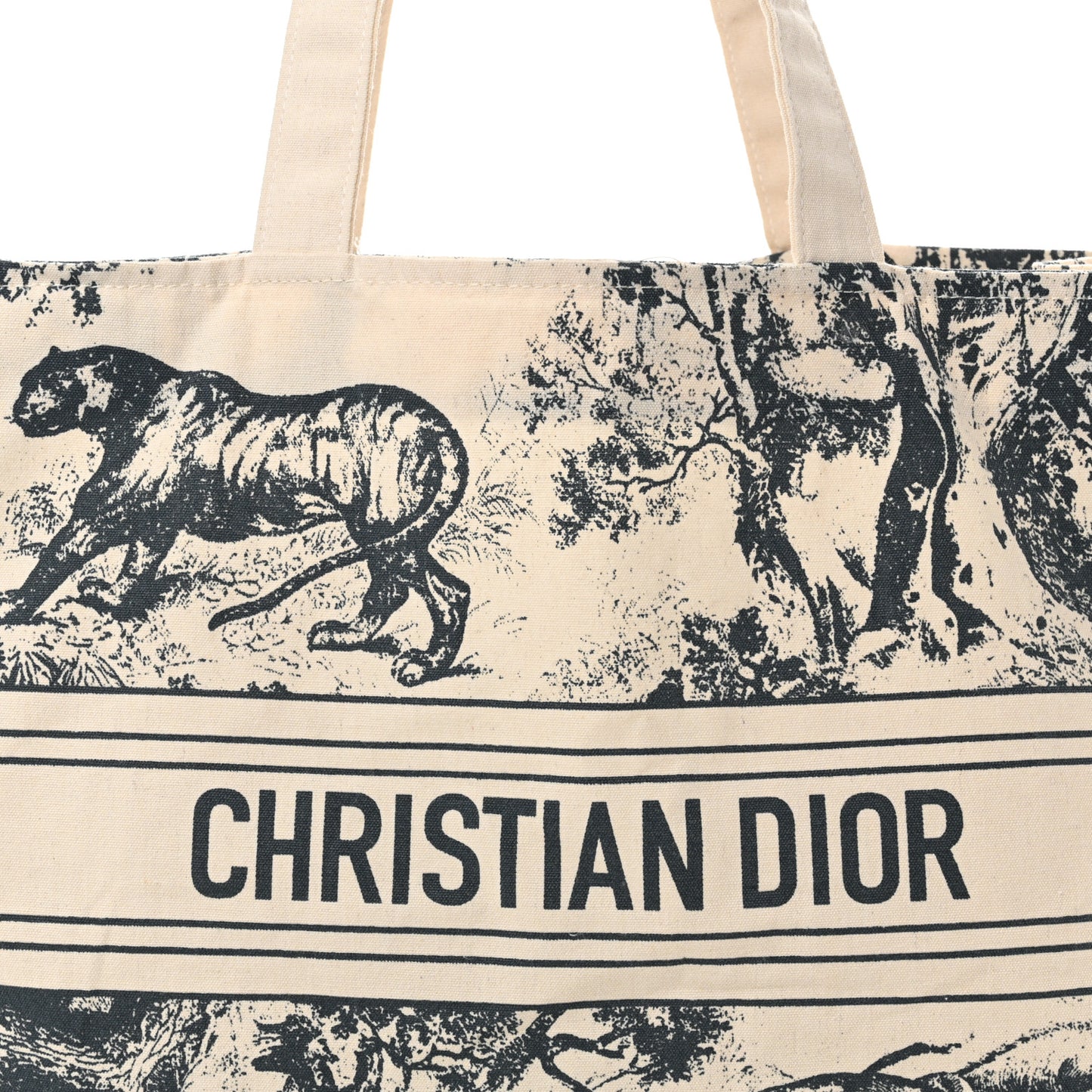 Canvas Dioriviera Tote Grey