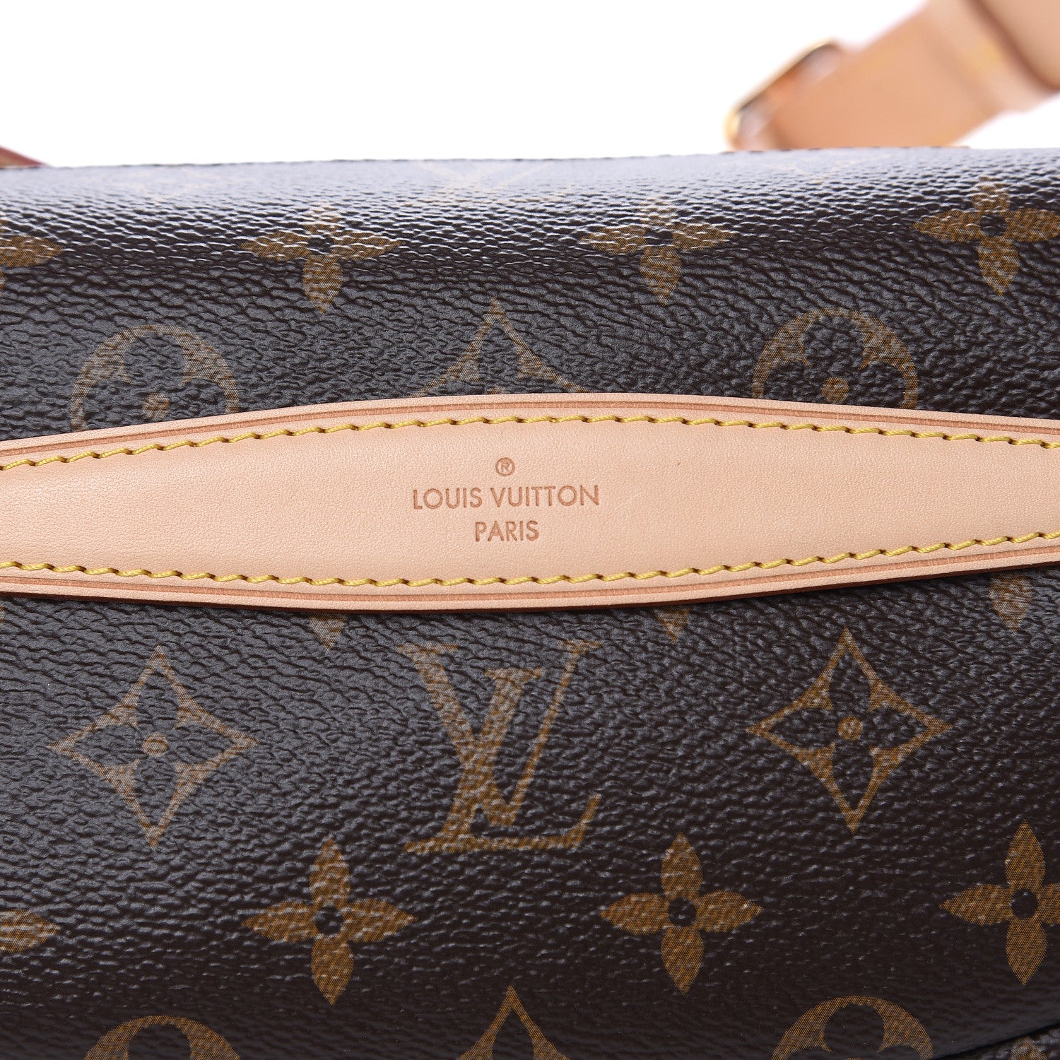 Louis Vuitton Monogram Bumbag 7 of 10