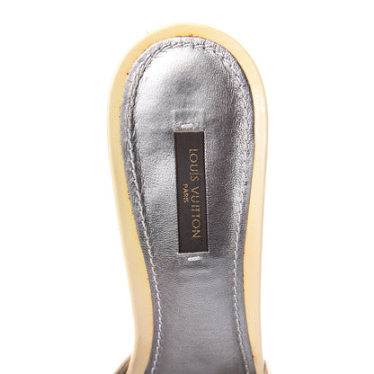 Louis Vuitton Mini Lin Kitten Heel Sandals 40 Dune 6 of 7