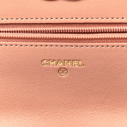 Chanel Lambskin Quilted Chanel 19 Wallet On Chain WOC Beige 6 of 12