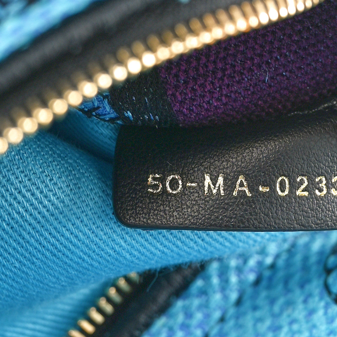 Canvas Toile de Jouy Voyage Embroidered Medium Lady D-Lite Celestial Blue