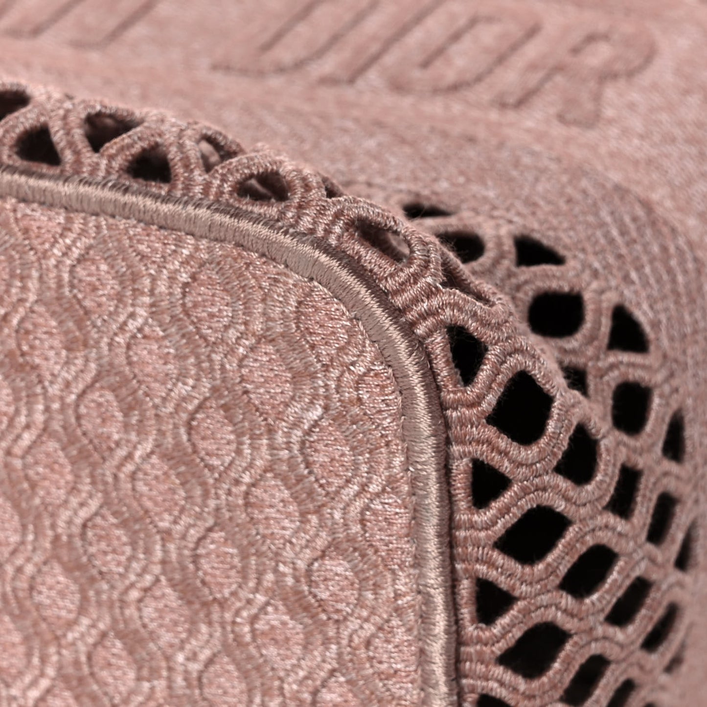 Mesh Embroidered Diortravel Vanity Case Clay