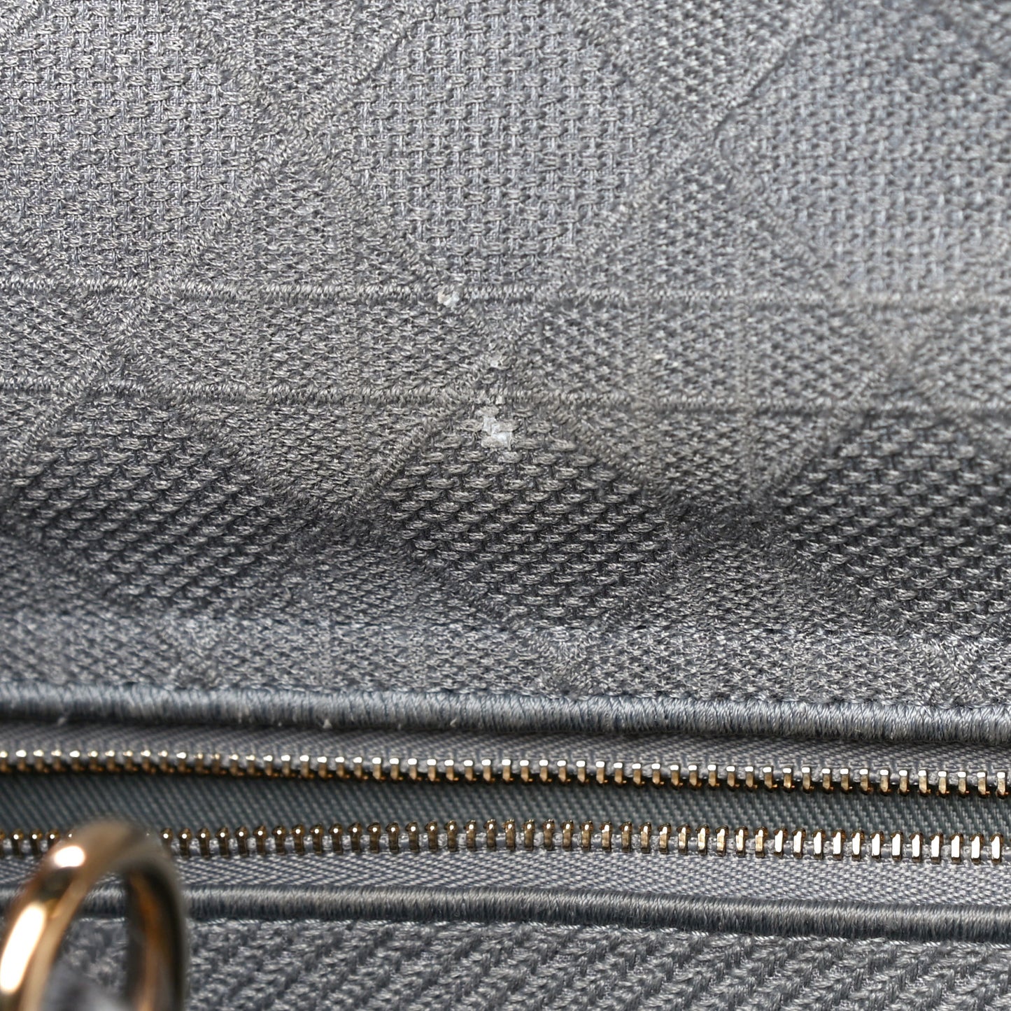 Canvas Embroidered Cannage Lady D-Lite Gray