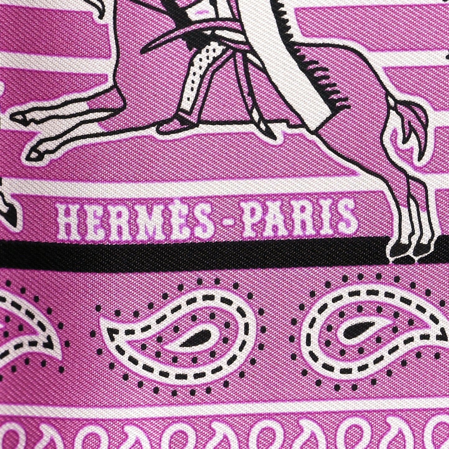 Silk Pani La Shar Pawnee Scarf 70