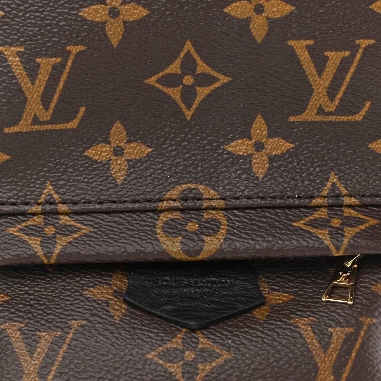 Monogram Palm Springs Backpack Mini