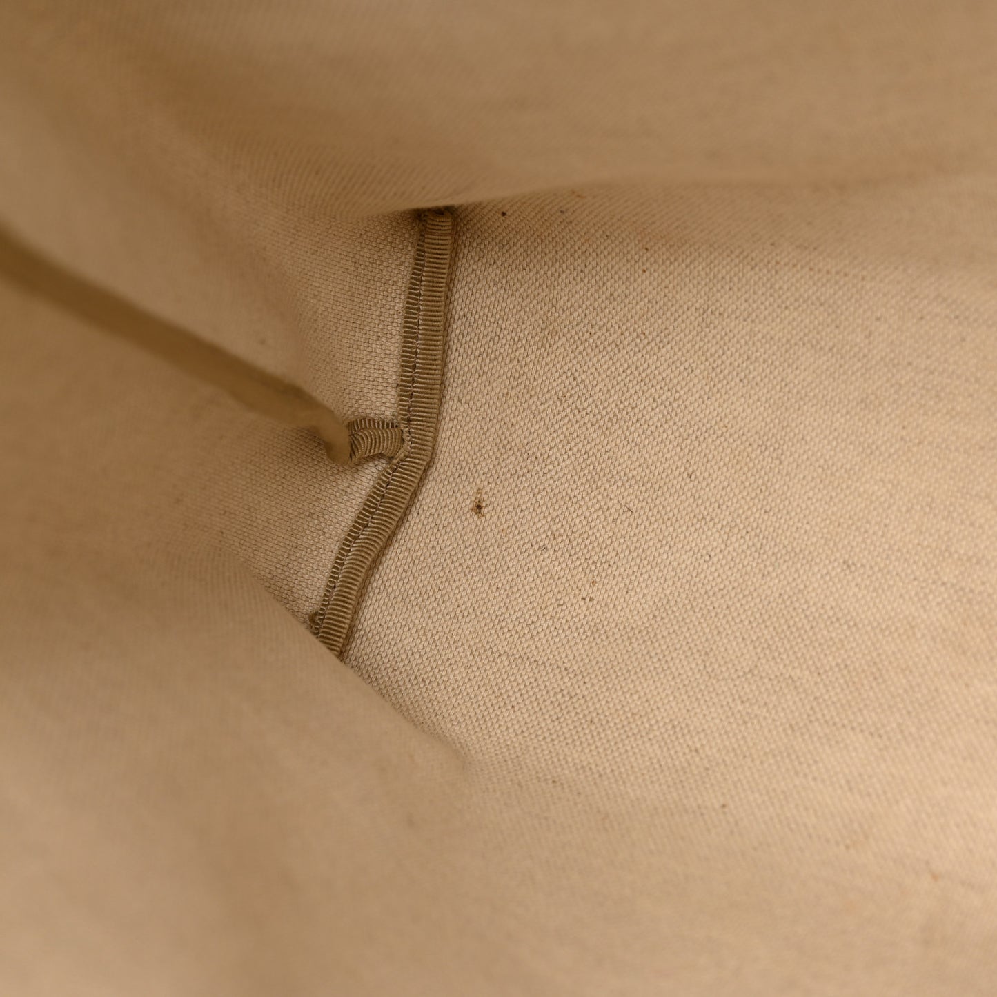 GG Plus Monogram Medium Signature Web Loop Tote Light Brown