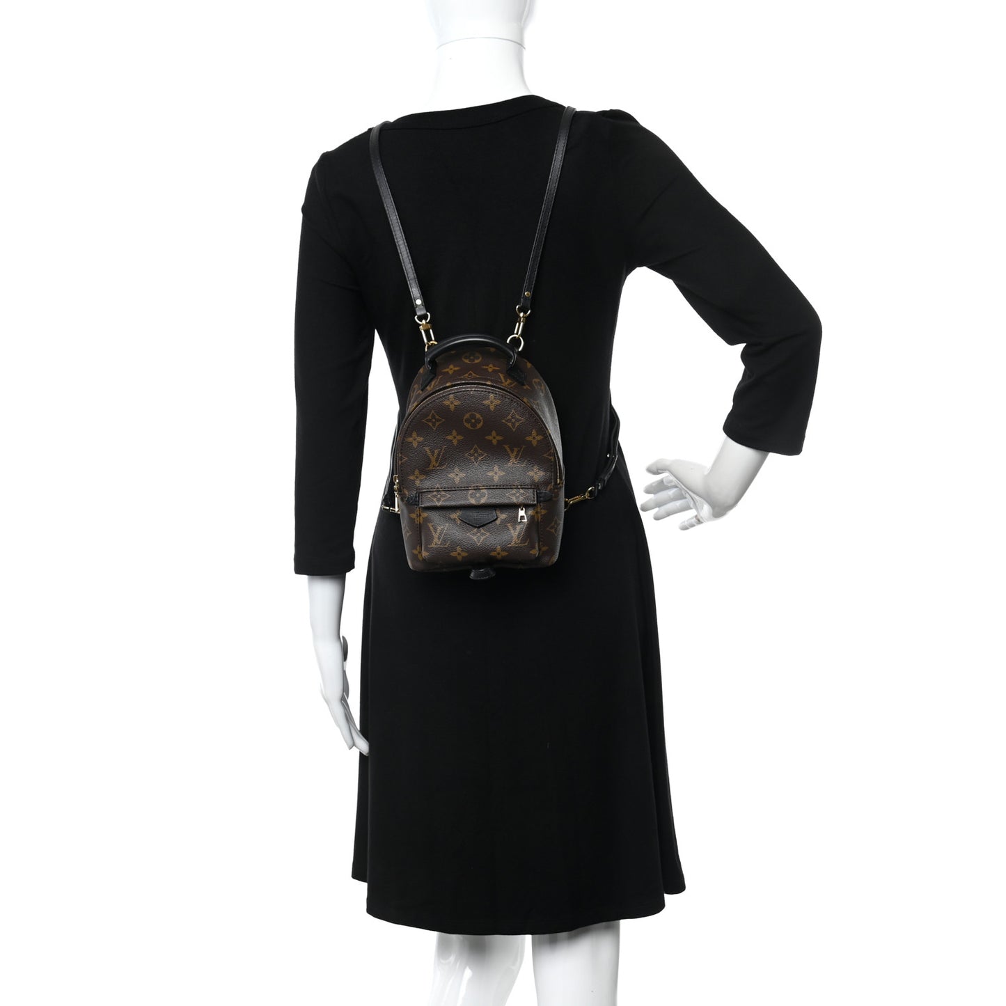 Monogram Palm Springs Backpack Mini
