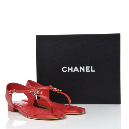 Chanel Lambskin Chain CC Logo Thong Sandals 40 Dark Red 10 of 10