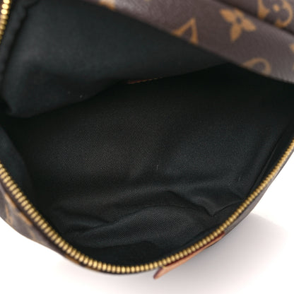 Louis Vuitton Monogram Bumbag 5 of 9